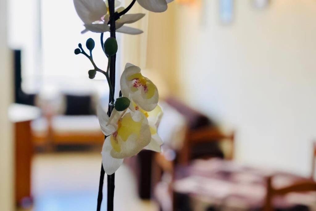 Cozy Apartment Playa Las Americas 美洲海滩 外观 照片